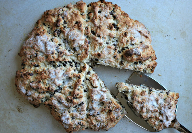 chocolate chip scones