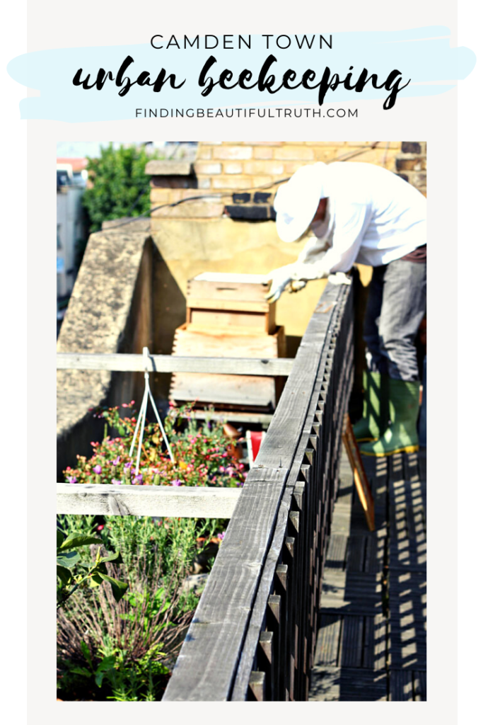 London urban beekeeping | Finding Beautiful Truth