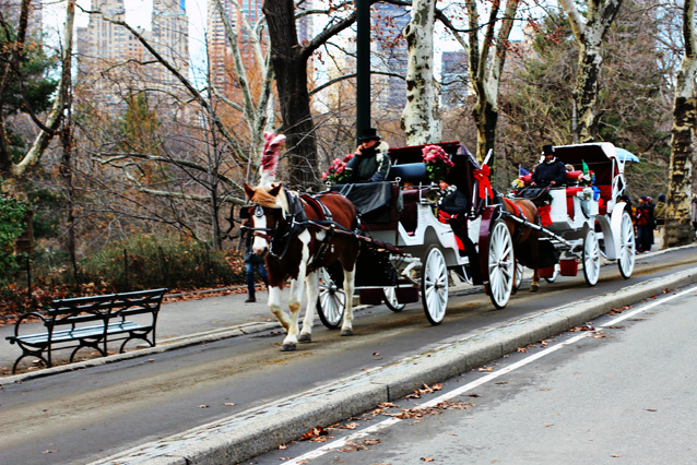nyc carriage rides