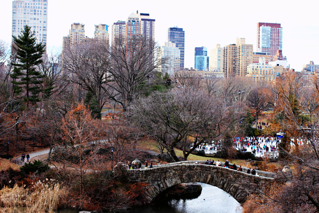 the ice rink in central park