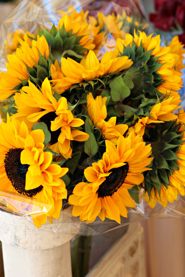 a layover in amsterdam via Finding Beautiful Truth