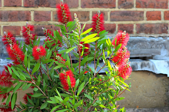 rooftop terrace in London for urban beekeeping