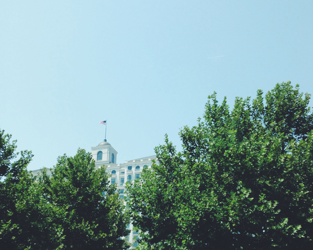 grand america staycation