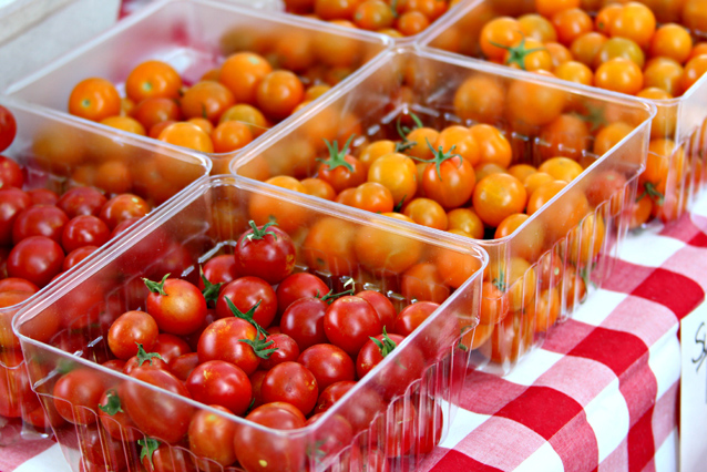 provo farmer's market 5