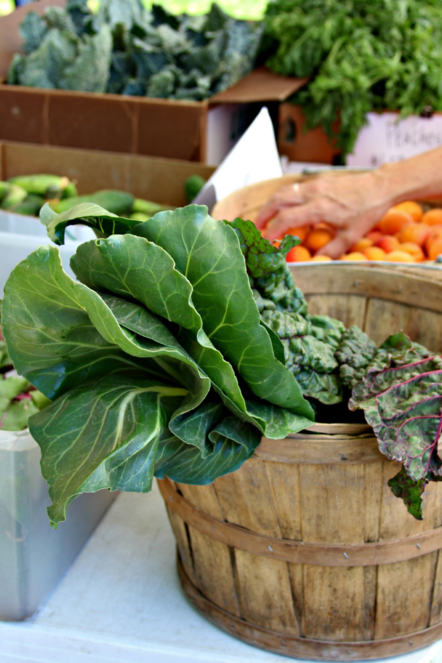 provo farmer's market 8