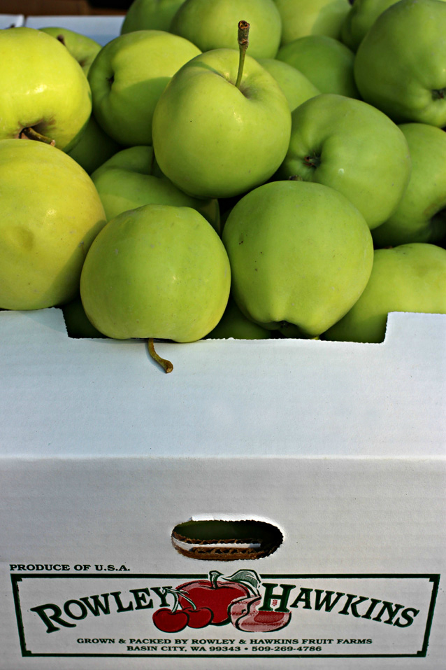 pasco farmers market 4