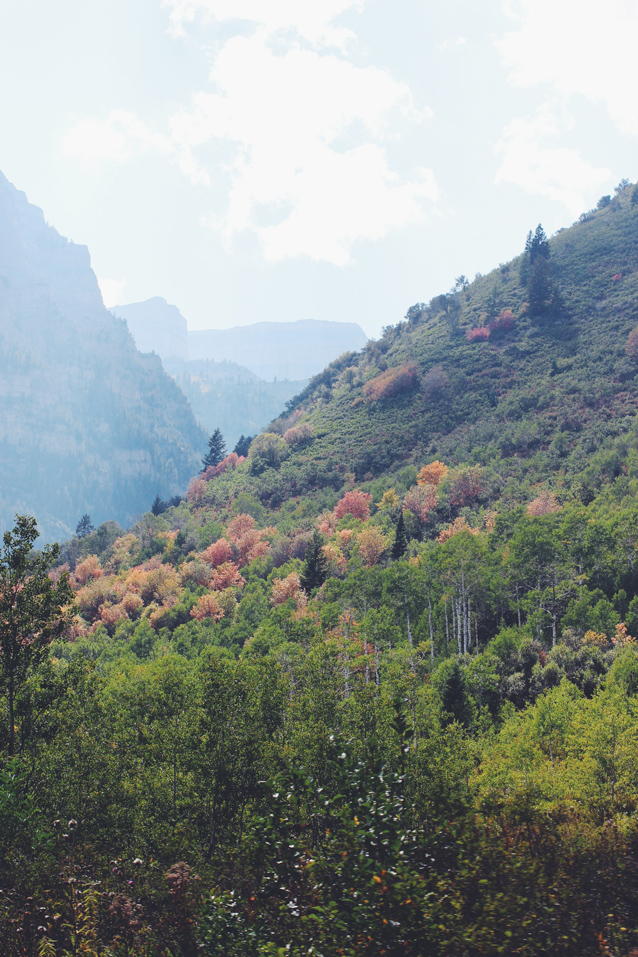 the view up provo canyon