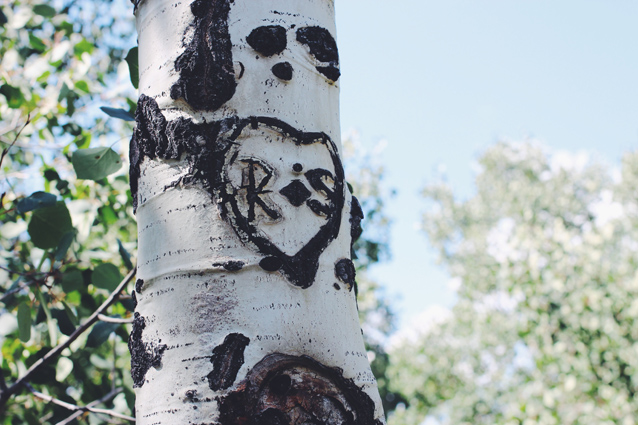 the view up provo canyon