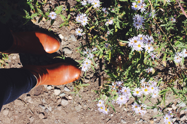 the view up provo canyon