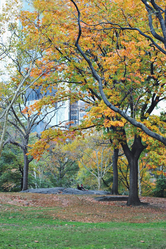 fall in Central Park