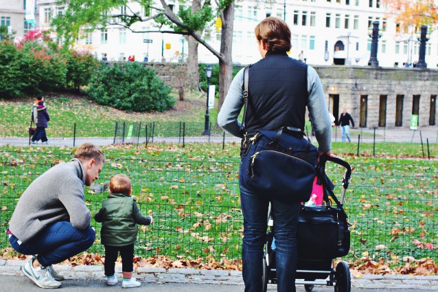 fall in Central Park