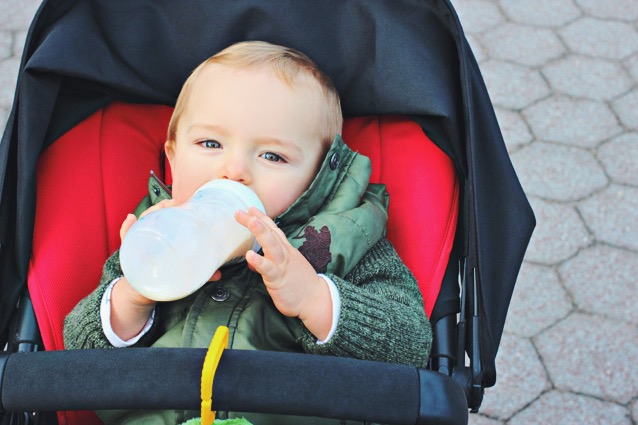 fall in Central Park