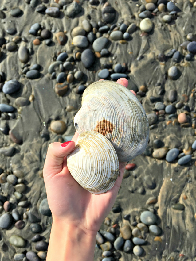 the beach in san diego