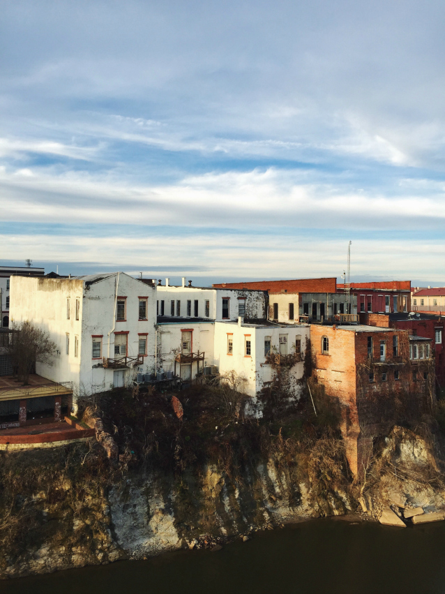 the view from the edmund pettus bridge