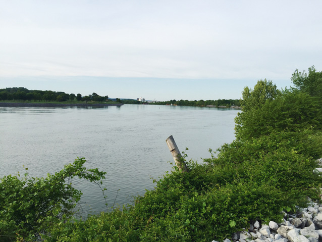 the boathouse in chattanooga
