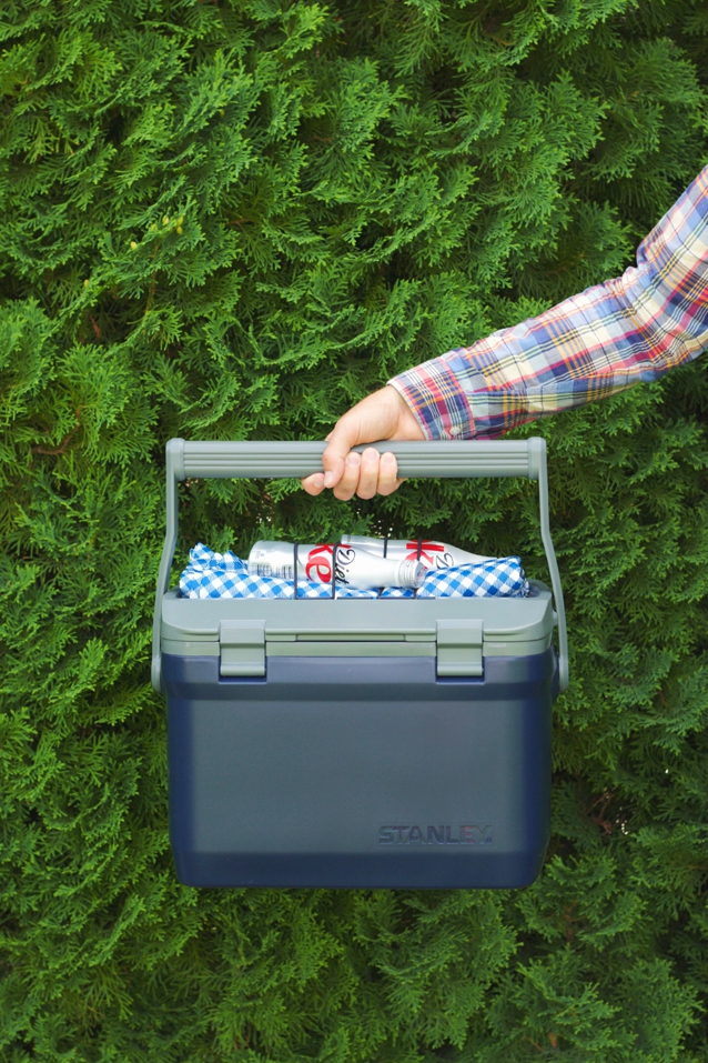 planning a picnic, stanley, finding beautiful truth