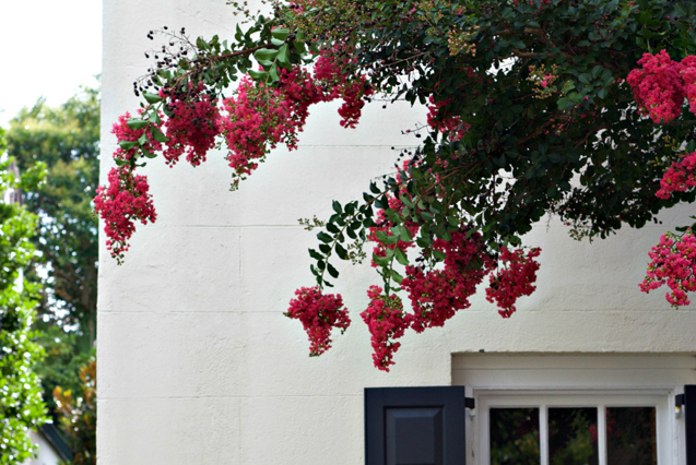 travel-charleston-battery