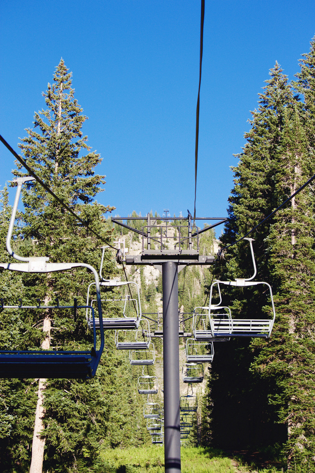 finding beautiful truth, alta ski resort, alta wildflowers