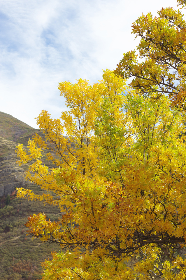 utah, finding beautiful truth, stanley brand