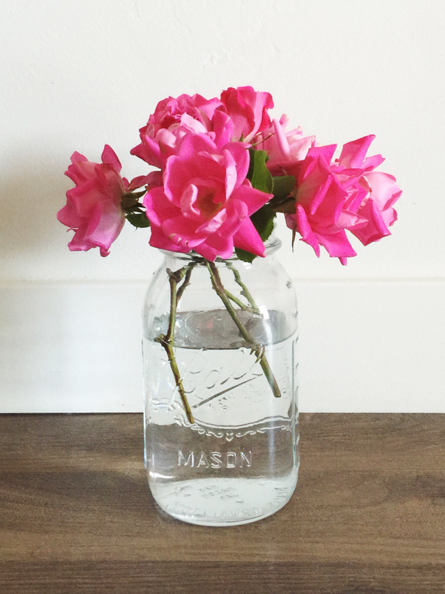 february to-do list, finding beautiful truth