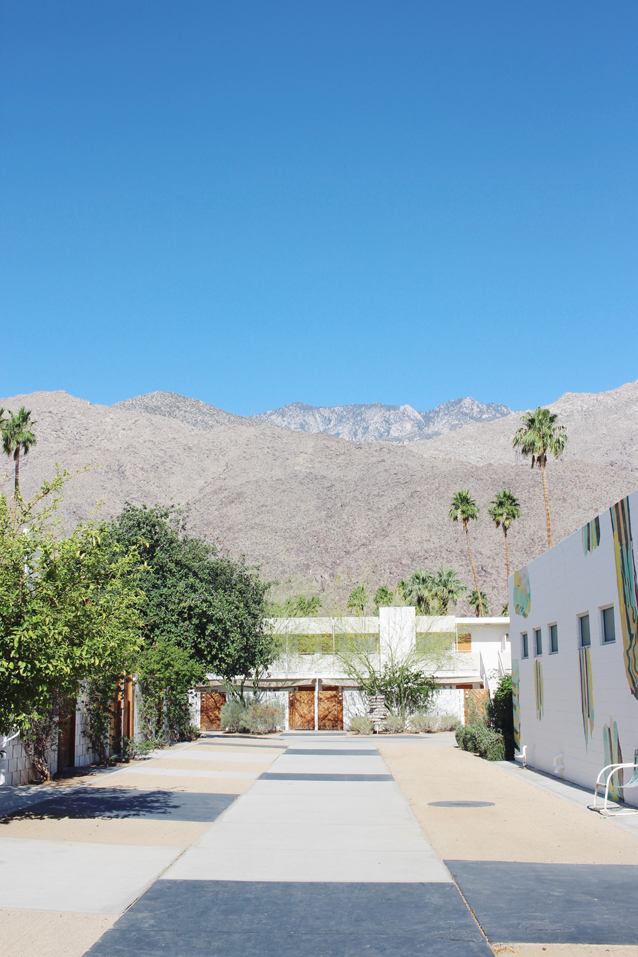 ace hotel, finding beautiful truth, palm springs