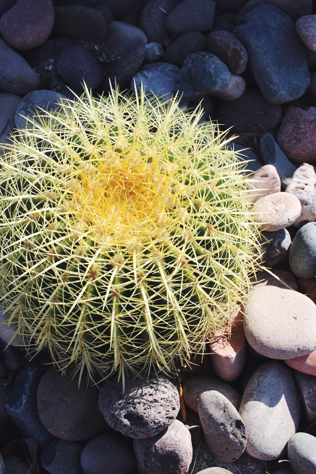 june to-do list, finding beautiful truth, summer bucket list