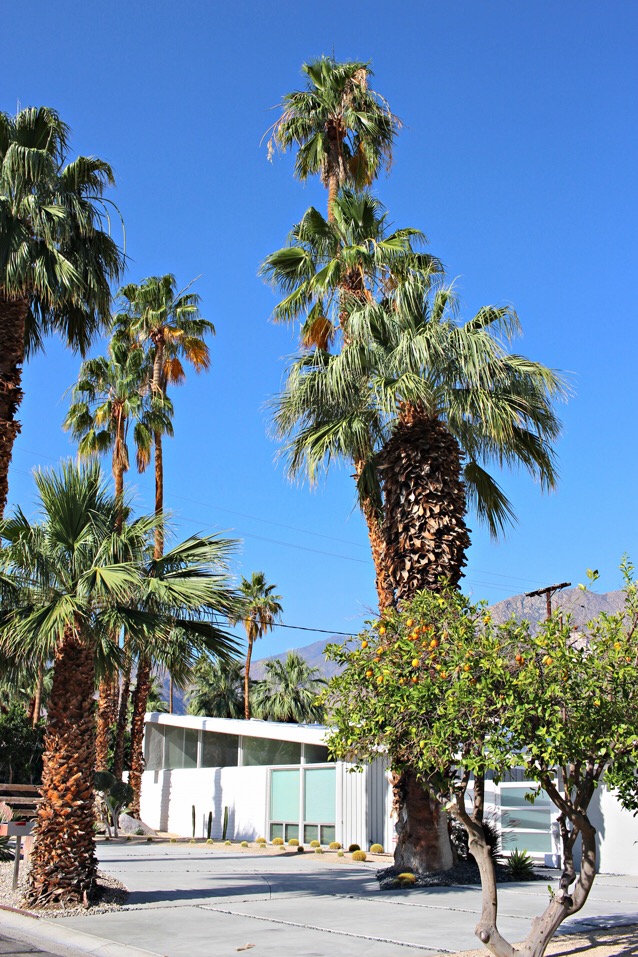mid-century modern, finding beautiful truth, palm springs