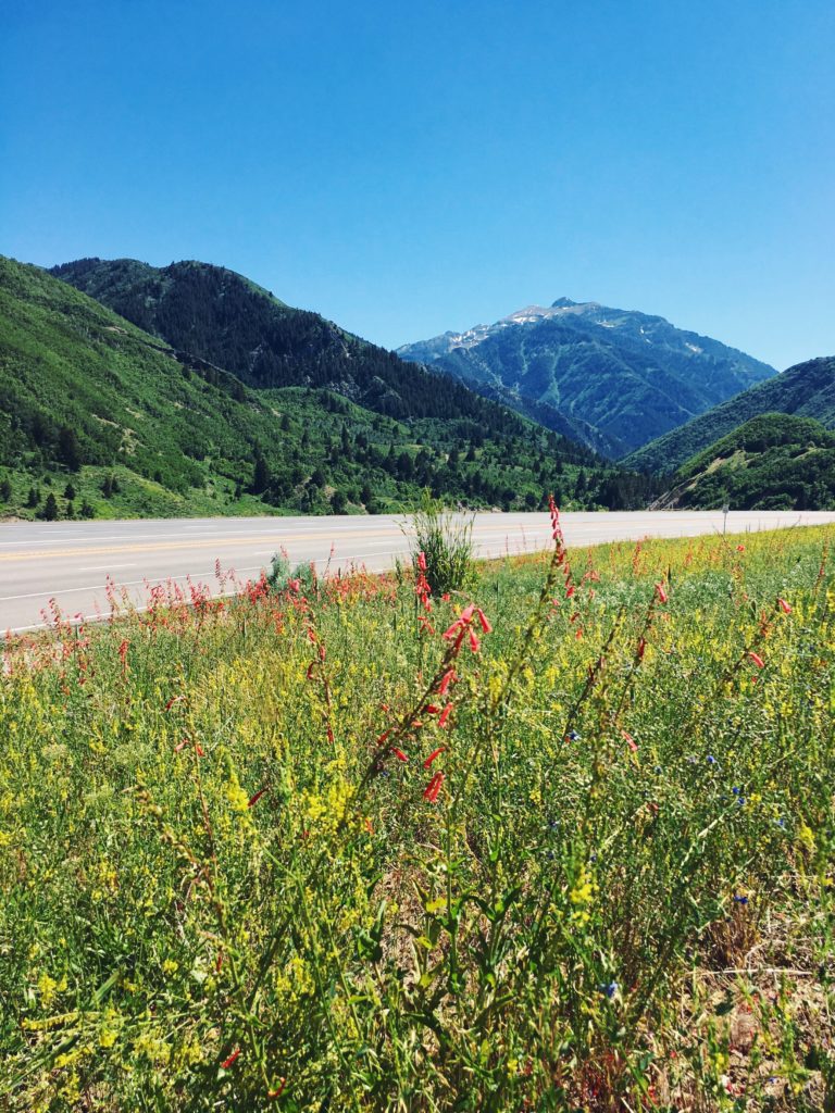 july to-do list, finding beautiful truth, summer bucket list