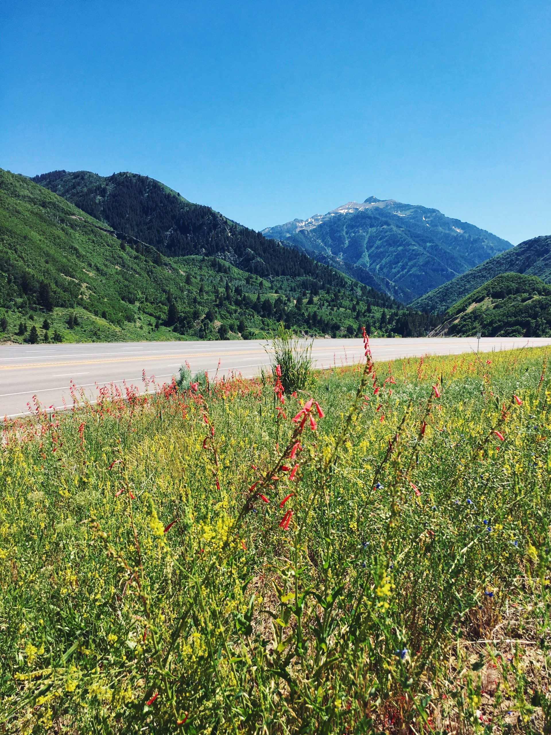 july to-do list, finding beautiful truth, summer bucket list