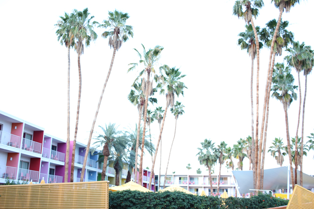 blogging tips, finding beautiful truth, how to schedule photoshoots while traveling