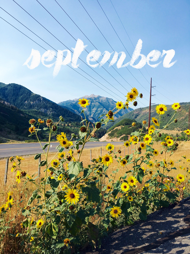 things to do in the month of september | via Finding Beautiful Truth
