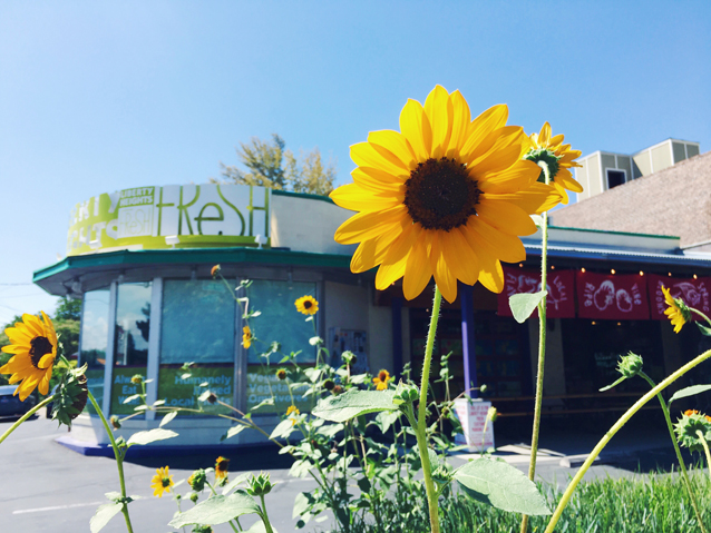 liberty heights fresh in salt lake city via Finding Beautiful Truth