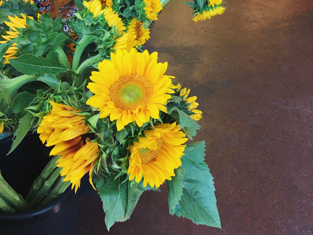 liberty heights fresh in salt lake city via Finding Beautiful Truth