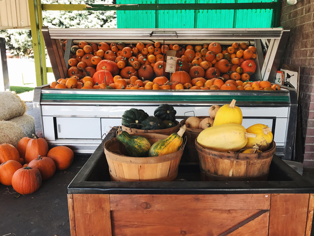 donuts and pumpkins at urban farm & feed local market via Finding Beautiful Truth