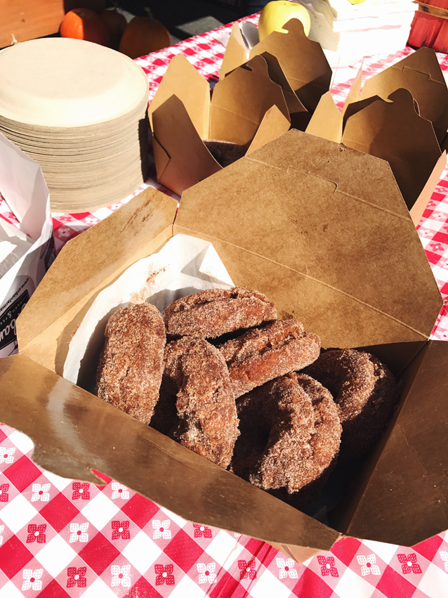 donuts and pumpkins at urban farm & feed local market via Finding Beautiful Truth