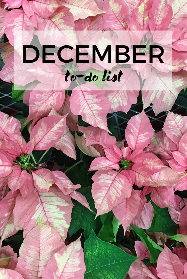 december to-do list via Finding Beautiful Truth