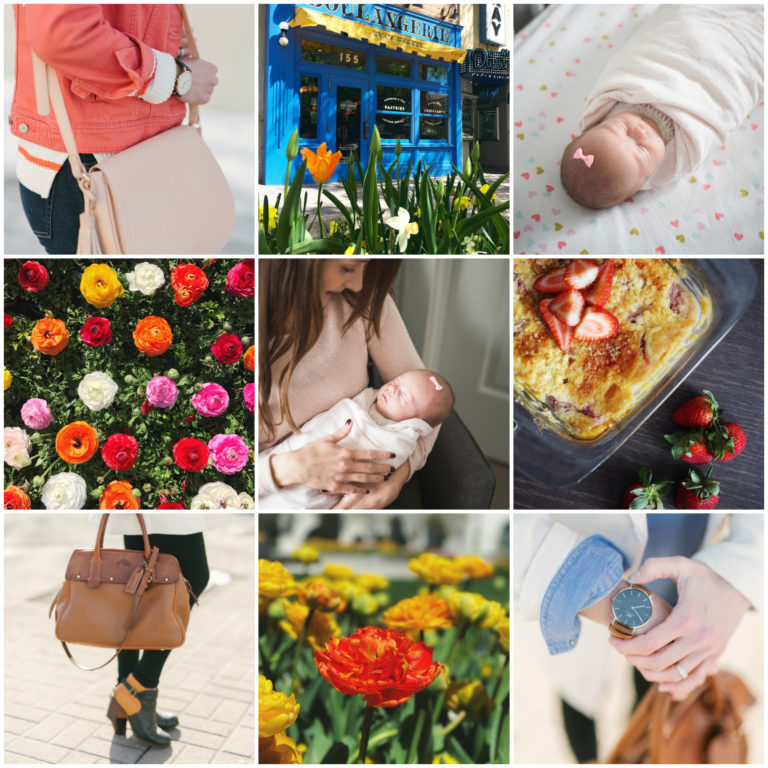 instagram roundup + coordinating links | via Finding Beautiful Truth