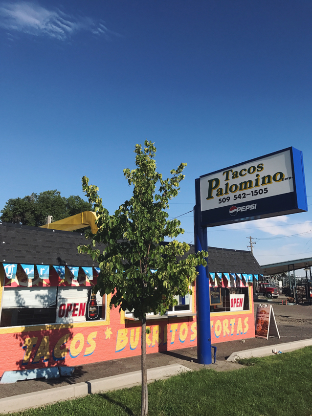 taco crawl through pasco, washington | travel diary via Finding Beautiful Truth