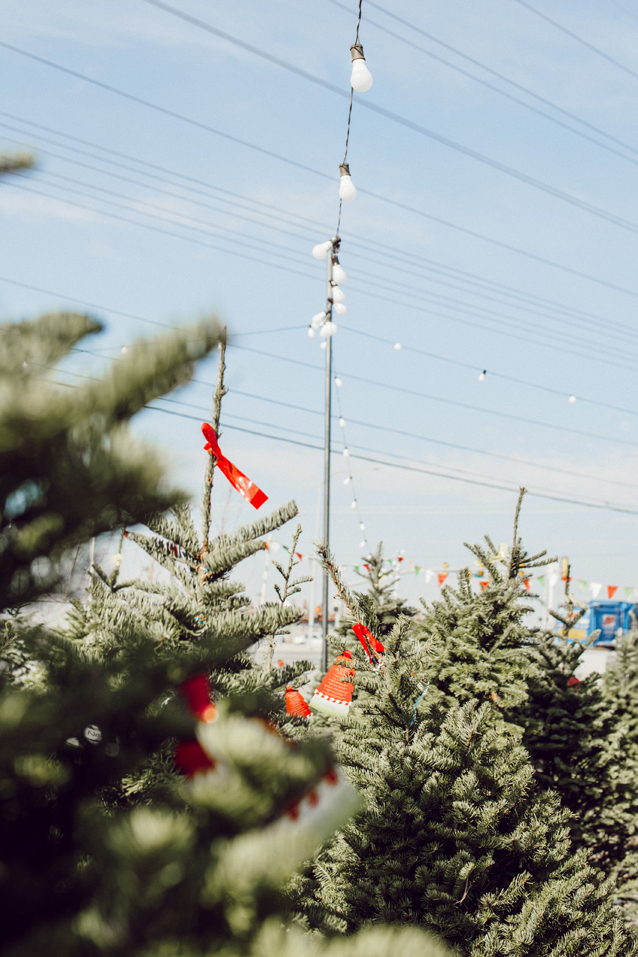 shopping for Mary Jane's first christmas tree | via Finding Beautiful Truth
