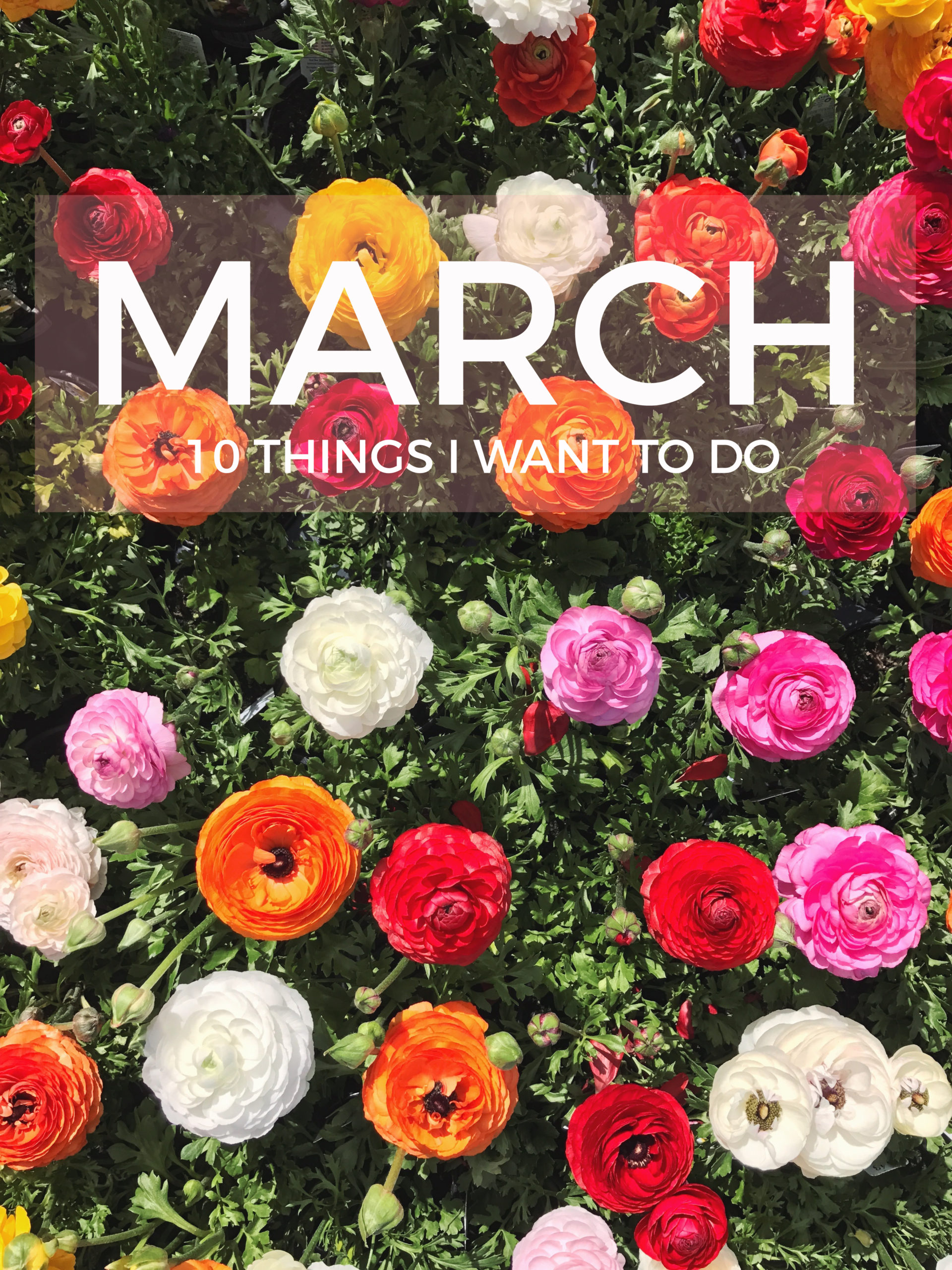 What’s on My March To-Do List?