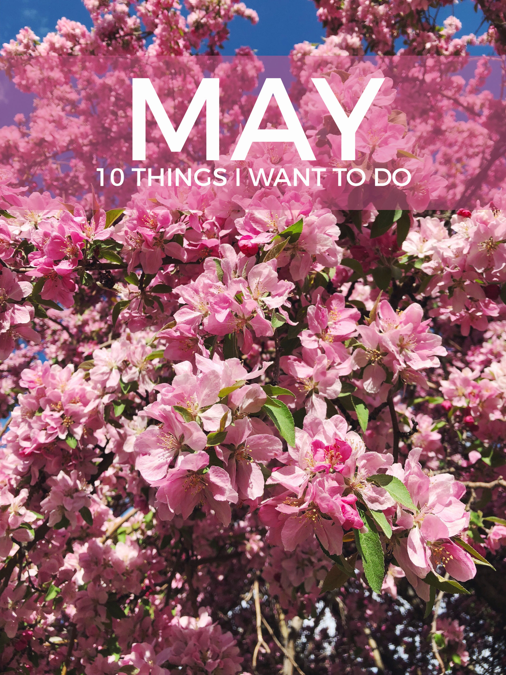 What’s on My May To-Do List?