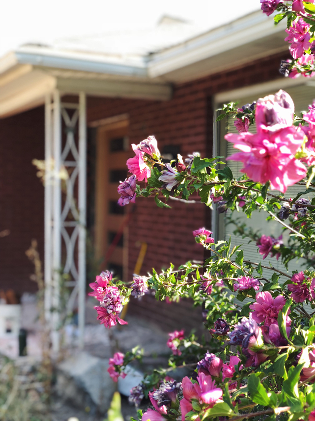 a progress update for our mid-mod renovation | simpson door co. install | Finding Beautiful Truth