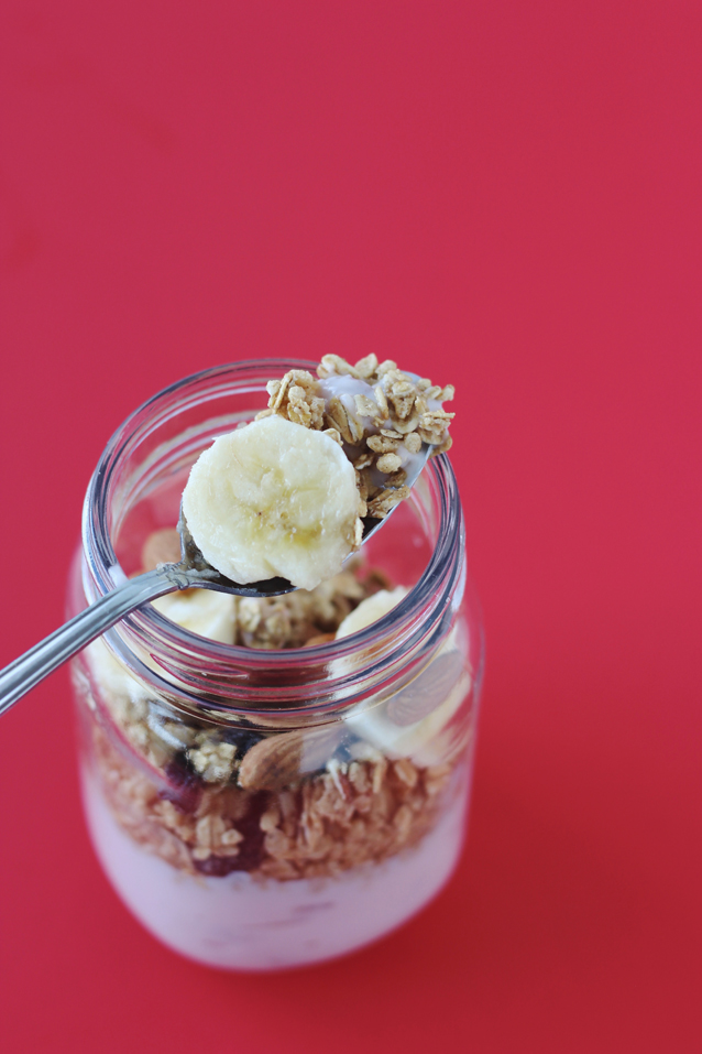 my go-to probiotic yogurt parfait | ingredient list via Finding Beautiful Truth