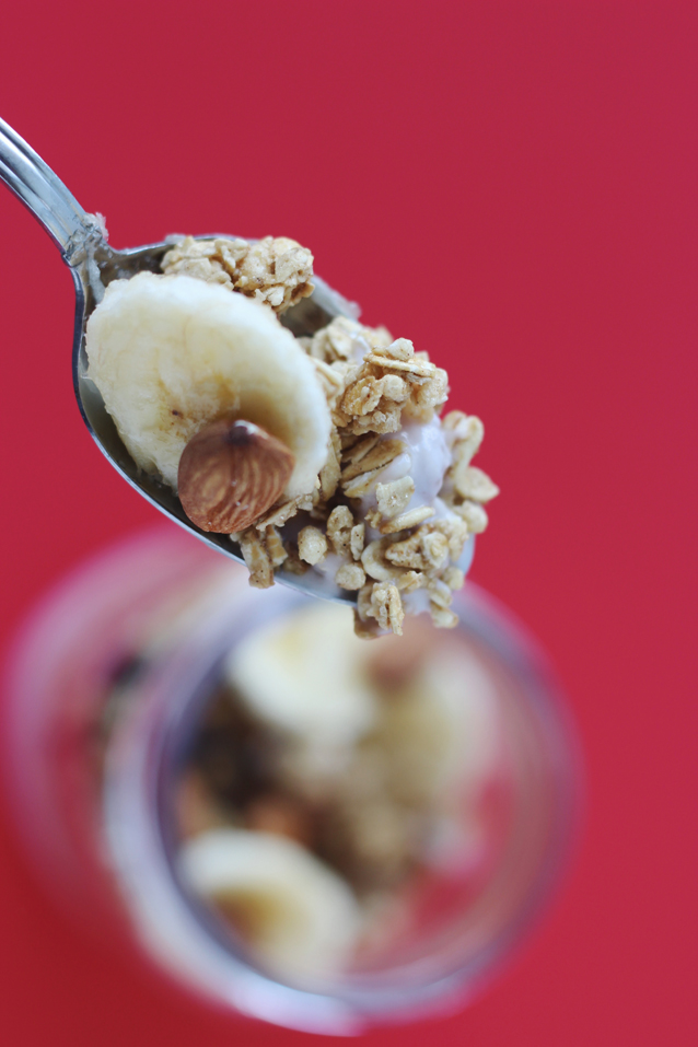 my go-to probiotic yogurt parfait | ingredient list via Finding Beautiful Truth