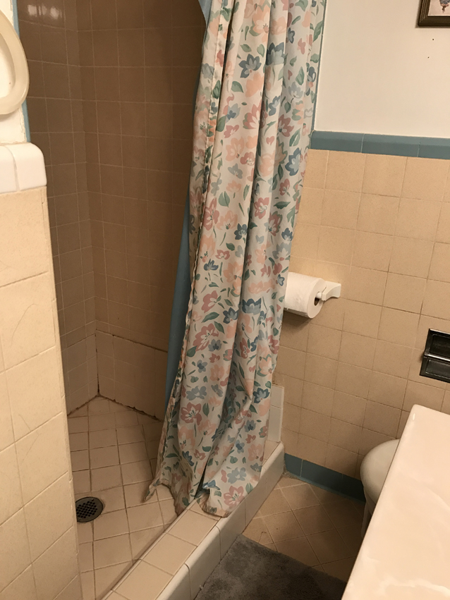 before photos of our home renovation | via Finding Beautiful Truth