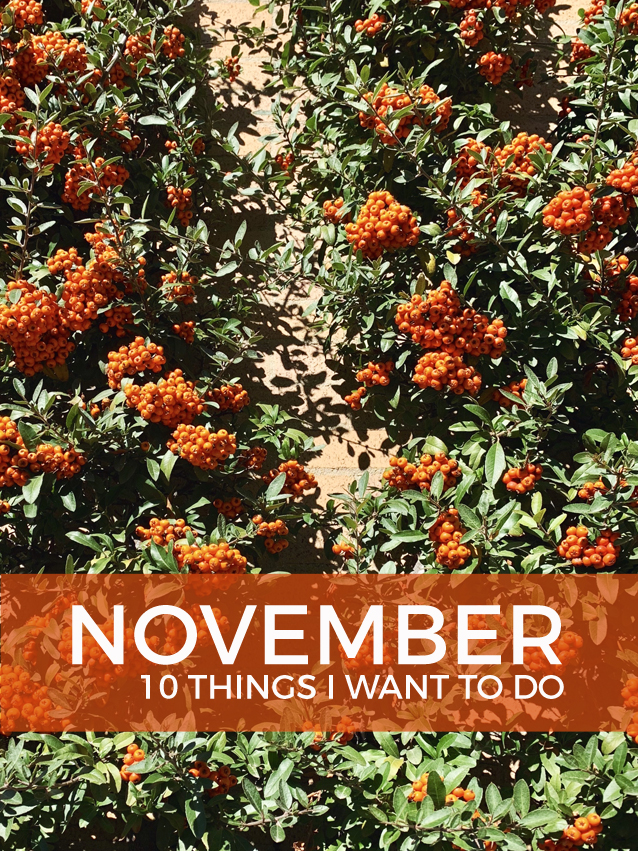 What’s on My November To-Do List?