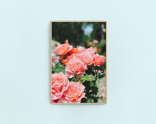 The FBT Shop | Downloadable + Printable Artwork