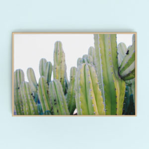 palm springs cacti gallery art | printable wall art via Finding Beautiful Truth