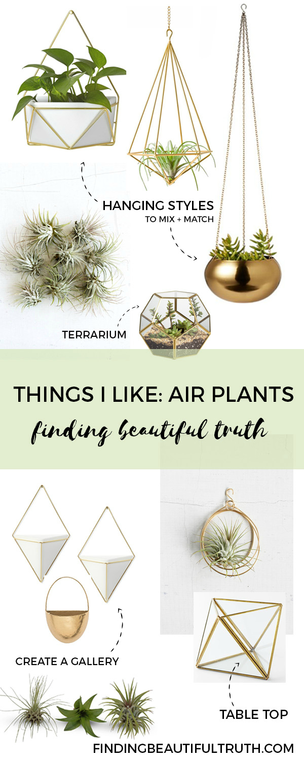 things I like: air plants + brass air plant planters | Finding Beautiful Truth