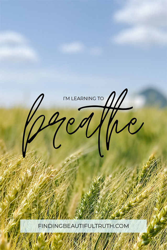 I'm learning how to breathe, unwind and relax | self-care via Finding Beautiful Truth